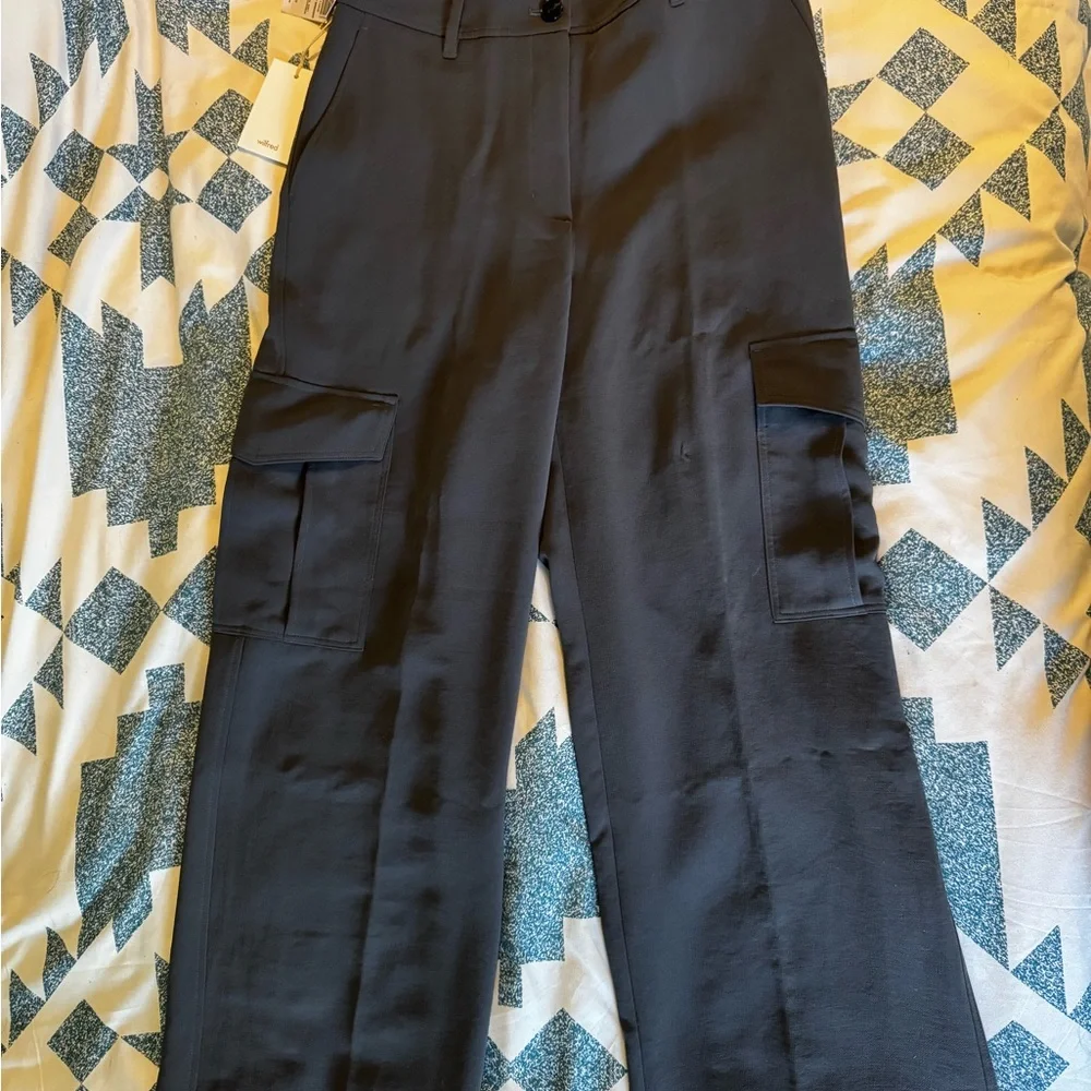 Aritzia Bridger Cargo Pants, coal grey - Picture 5 of 7